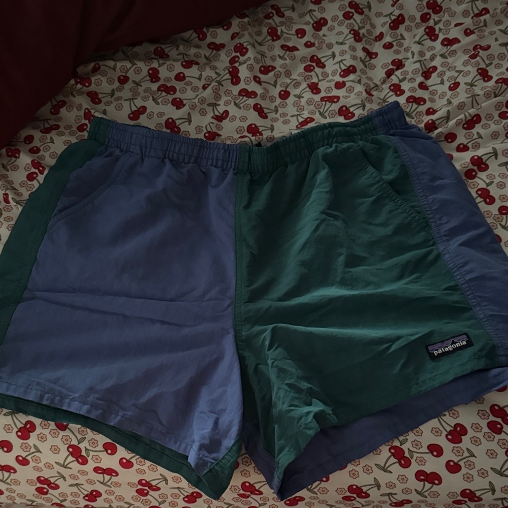 Patagonia Blue and Green Casual Shorts